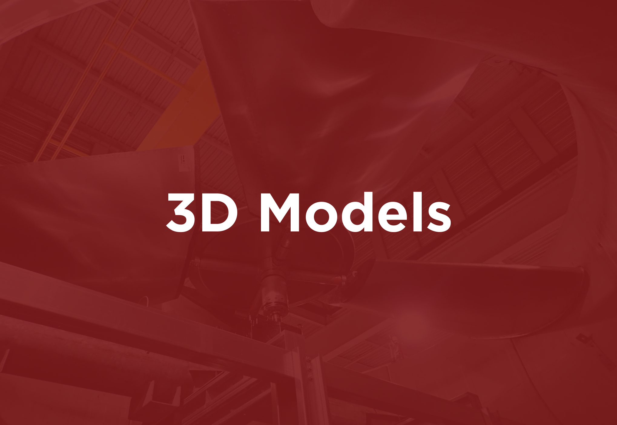 3D Models